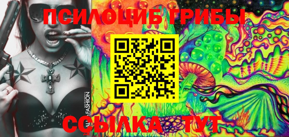 Галлюциногенные грибы Psilocybe Азнакаево