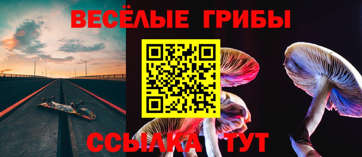 Азнакаево  Псилоцибиновые грибы ЛСД  наркотики  Вход с VPN 